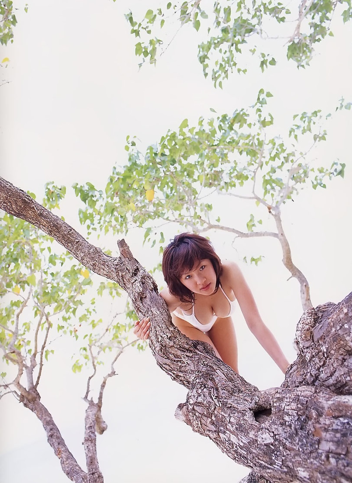 Photobook Kagurazaka Megumi 神楽坂恵 Infinity 0035 3652759660.jpg