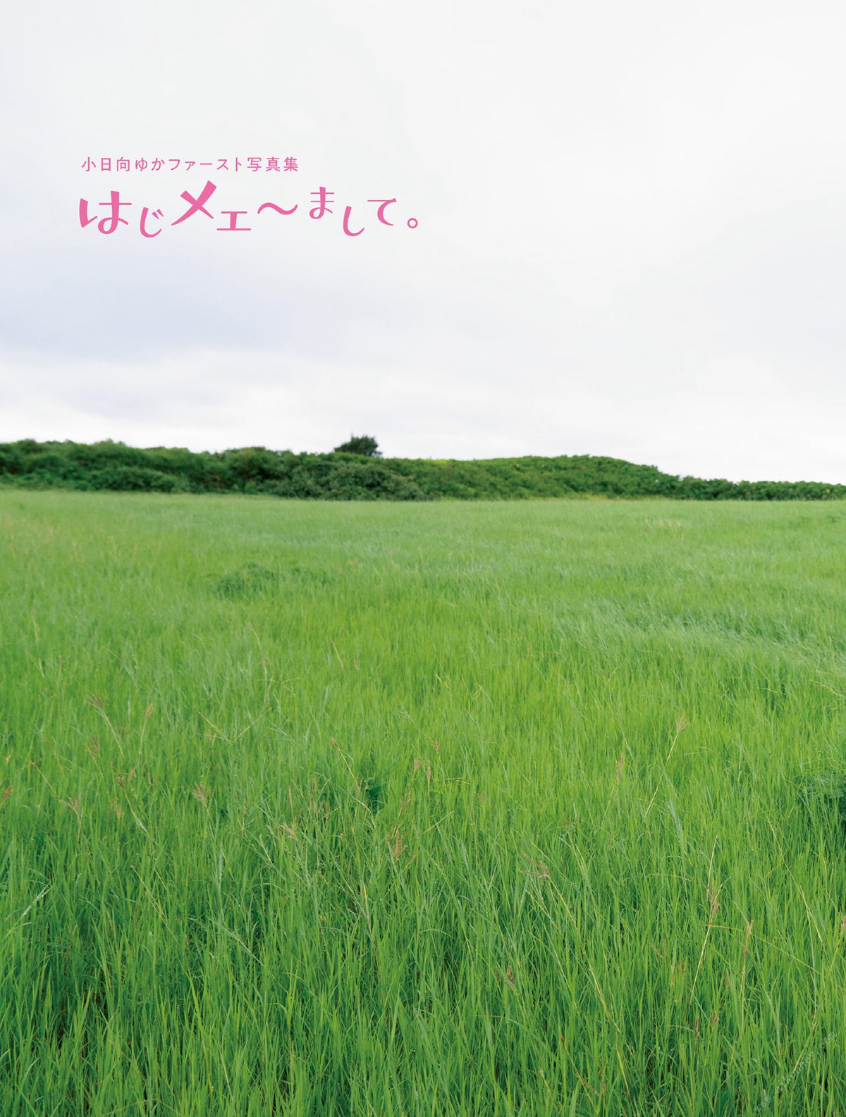 Photobook 小日向ゆかファースト写真集 はじメェ まして アサ芸アイドル写真集 0003 7920525500.jpg